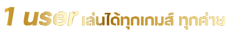 1-user-เล่นได้ทุกเกมส์